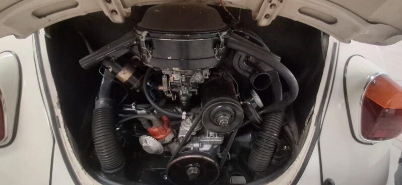 
								Used 1968 Volkswagen Beetle 1500 full									