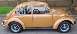 
										Used 1985 Volkswagen 1600 Beetle full									