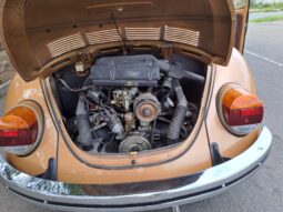 
										Used 1985 Volkswagen 1600 Beetle full									