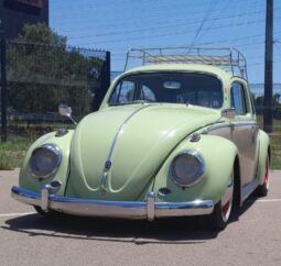 
										1963 Volkswagen Beetle full									