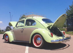 
										1963 Volkswagen Beetle full									