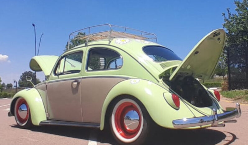 
								1963 Volkswagen Beetle full									