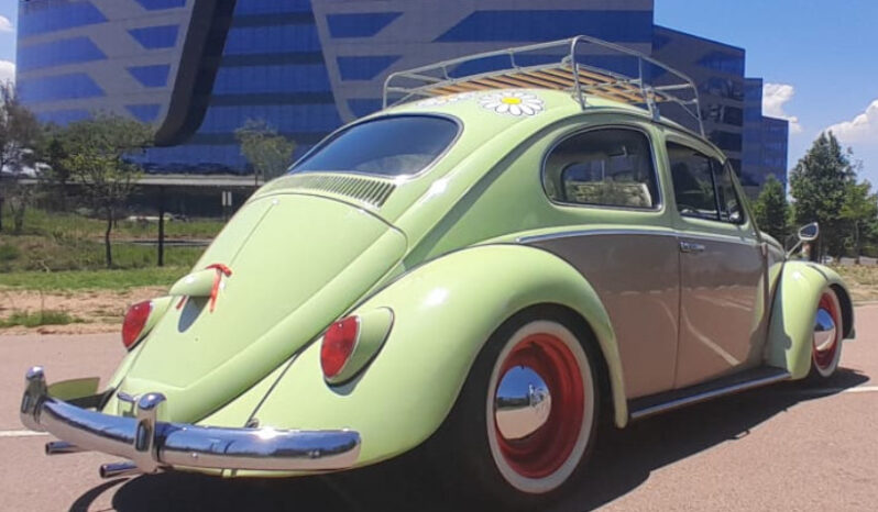 
								1963 Volkswagen Beetle full									