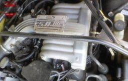 
										1996 Original Mustang GT500 full									