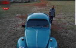
										VOLKSWAGEN BEETLE full									