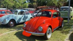 Restored 1969 Volkswagen Beetle