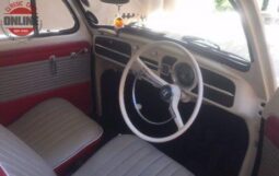 
										1961 CLASSIC COLLECTIBLE BEETLE full									