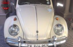 
										1961 CLASSIC COLLECTIBLE BEETLE full									