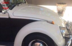 
										1961 CLASSIC COLLECTIBLE BEETLE full									