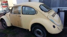 
										1976 BEETLE PROJECT full									
