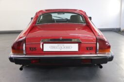 
										Used 1990 Jaguar XJS V12 full									