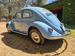 Used 1956 Volkswagen Beetle – Oval Window