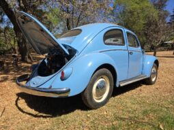 Used 1956 Volkswagen Beetle – Oval Window