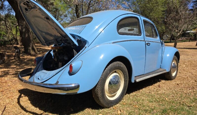 
								Used 1956 Volkswagen Beetle – Oval Window full									