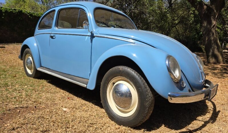 
								Used 1956 Volkswagen Beetle – Oval Window full									