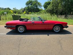 Used 1982 Jaguar XJS V12
