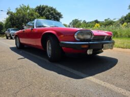 Used 1982 Jaguar XJS V12