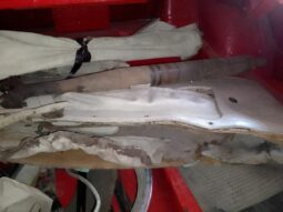 
										1962 Alfa Romeo 2600 Coupe Combo Deal! full									