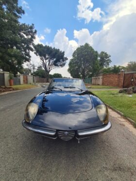1980 Alfa Romeo Spider 2000 Series II LHD – A Timeless Italian Classic