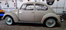 
										Used 1969 Volkswagen Beetle full									