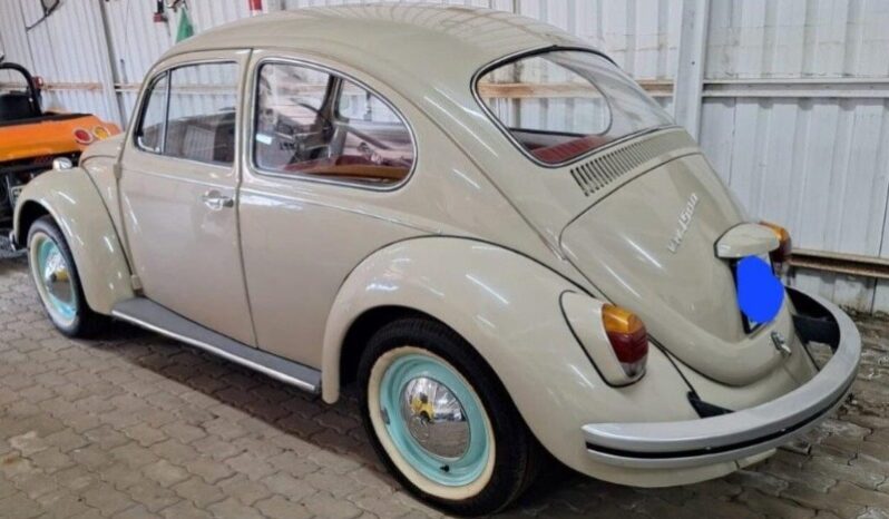 
								Used 1969 Volkswagen Beetle full									