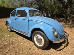Used 1956 Volkswagen Oval Beetle