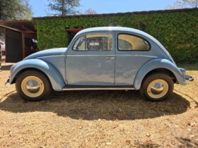 Used 1956 Volkswagen Oval Beetle