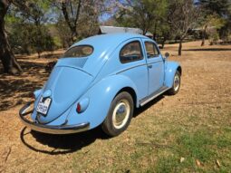 Used 1956 Volkswagen Oval Beetle