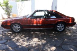 
										Used 1981 Ford Mustang 5.0 full									