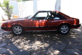 Used 1981 Ford Mustang 5.0