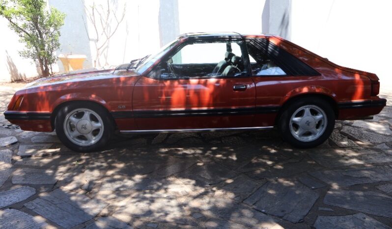 
								Used 1981 Ford Mustang 5.0 full									