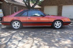 
										Used 1981 Ford Mustang 5.0 full									