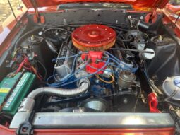 
										Used 1981 Ford Mustang 5.0 full									