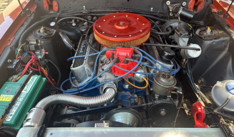 
								Used 1981 Ford Mustang 5.0 full									