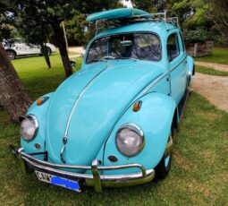 Used 1962 Volkswagen Beetle 1200cc