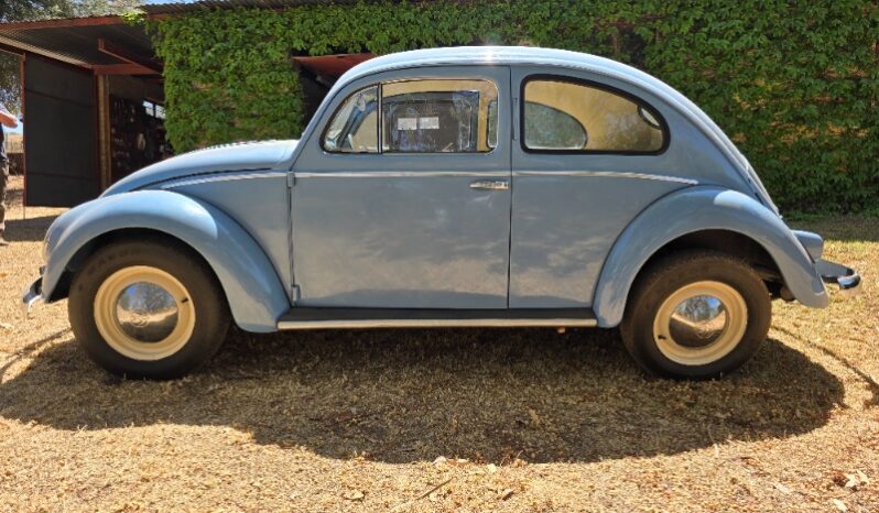 
								Used 1956 Volkswagen Beetle – Oval Window full									