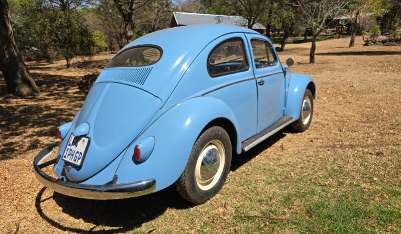 
								Used 1956 Volkswagen Beetle – Oval Window full									