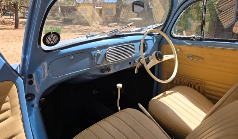 
								Used 1956 Volkswagen Beetle – Oval Window full									