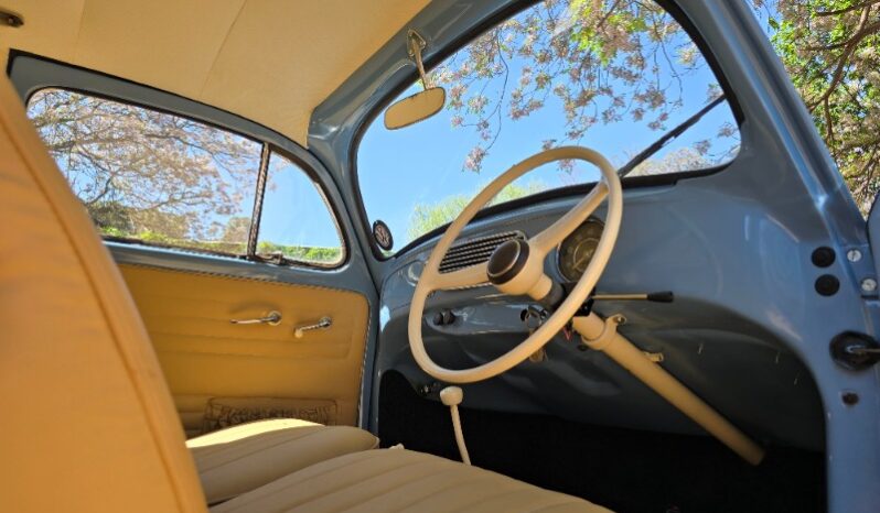 
								Used 1956 Volkswagen Beetle – Oval Window full									