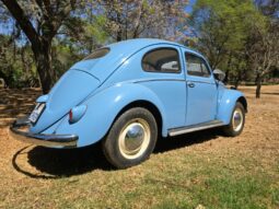
										Used 1956 Volkswagen Beetle – Oval Window full									