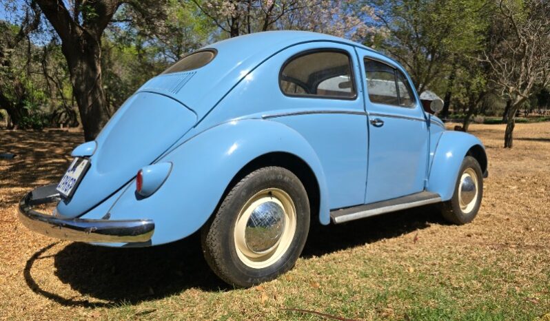 
								Used 1956 Volkswagen Beetle – Oval Window full									