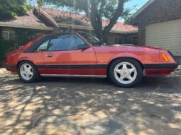 
										Used 1981 Ford Mustang 5.0 full									
