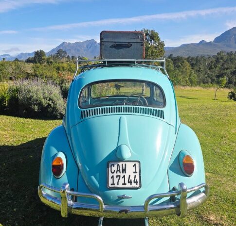 
								Used 1962 Volkswagen Beetle 1200 full									