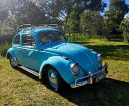 
										Used 1962 Volkswagen Beetle 1200 full									