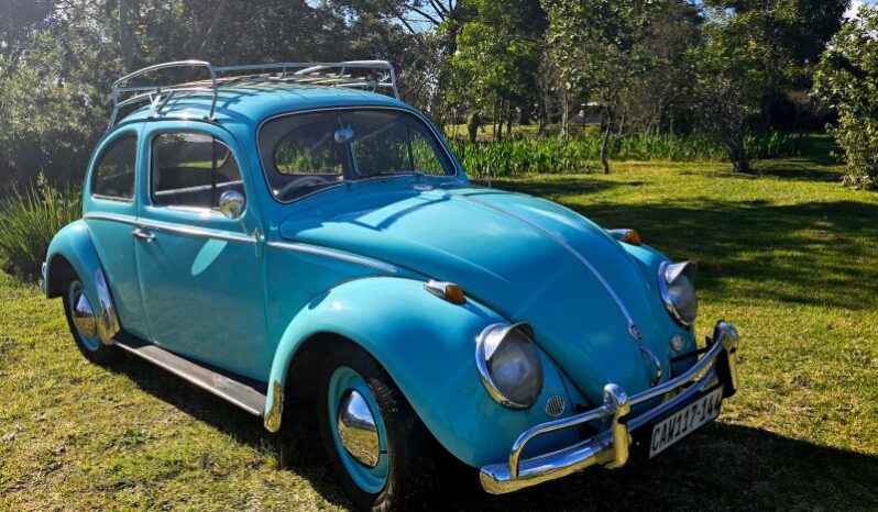 
								Used 1962 Volkswagen Beetle 1200 full									