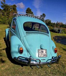 
										Used 1962 Volkswagen Beetle 1200 full									