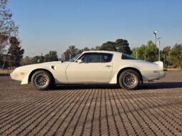 Used 1980 Pontiac TransAm