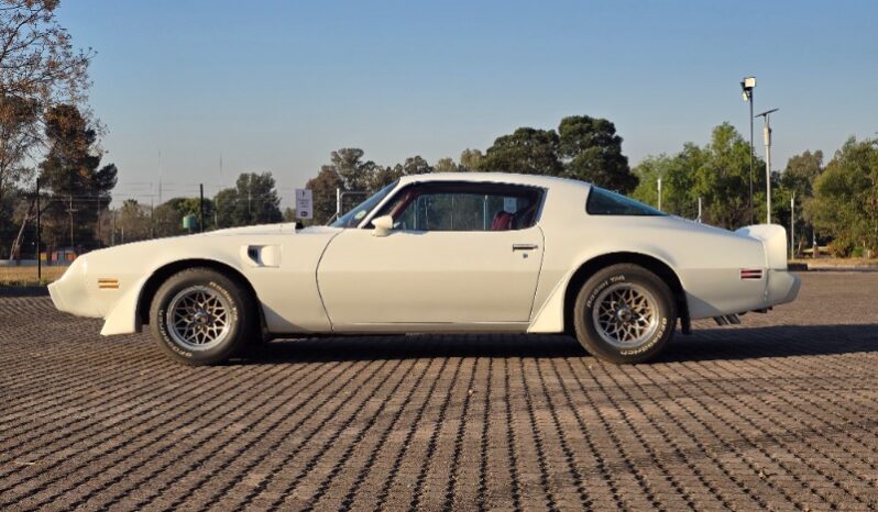 
								Used 1980 Pontiac TransAm full									