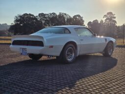 Used 1980 Pontiac TransAm