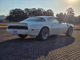 Used 1980 Pontiac TransAm